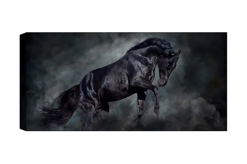 Canvastaulu YTY Animals Monivärinen, 120x50 cm