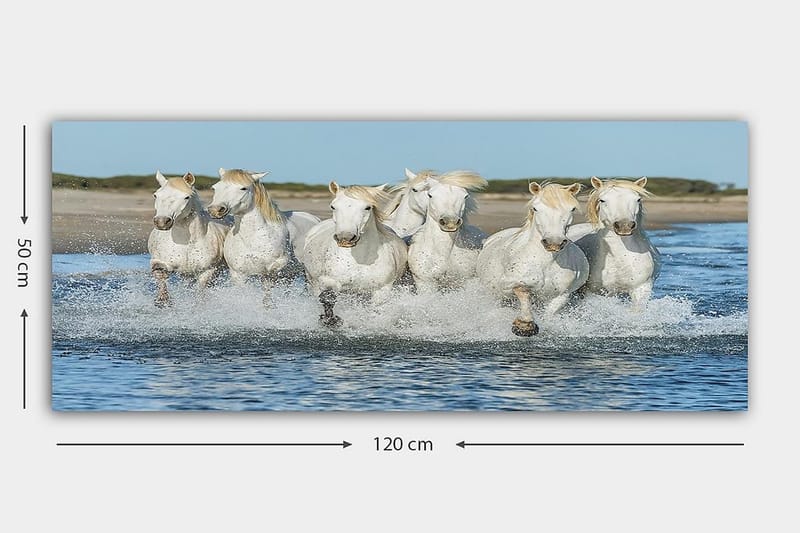 Canvastaulu YTY Animals Monivärinen - 120x50 cm - Sisustustuotteet - Taulu & taide - Canvas-taulu