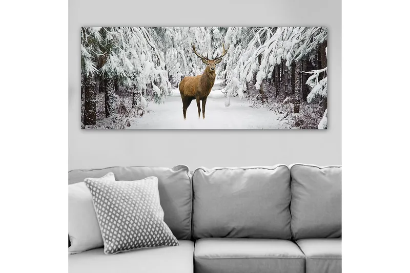 Canvastaulu YTY Animals Monivärinen - 120x50 cm - Sisustustuotteet - Taulu & taide - Canvas-taulu