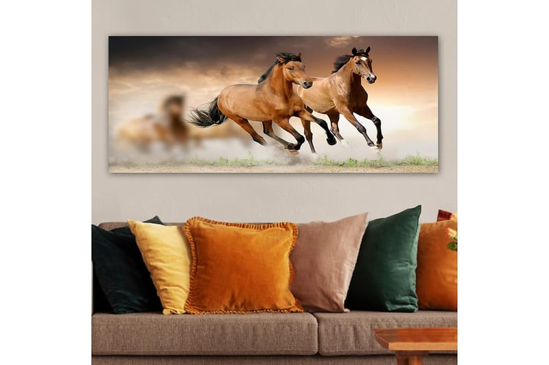 Canvastaulu YTY Animals Monivärinen - 120x50 cm - Sisustustuotteet - Taulu & taide - Canvas-taulu