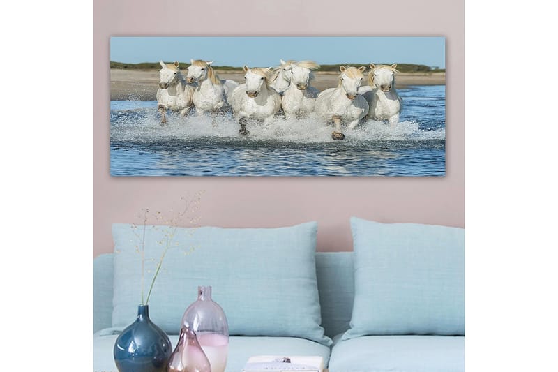 Canvastaulu YTY Animals Monivärinen - 120x50 cm - Sisustustuotteet - Taulu & taide - Canvas-taulu