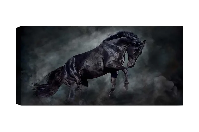 Canvastaulu YTY Animals Monivärinen, 120x50 cm