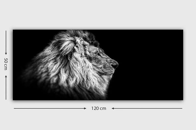 Canvastaulu YTY Animals Monivärinen - 120x50 cm - Sisustustuotteet - Taulu & taide - Canvas-taulu