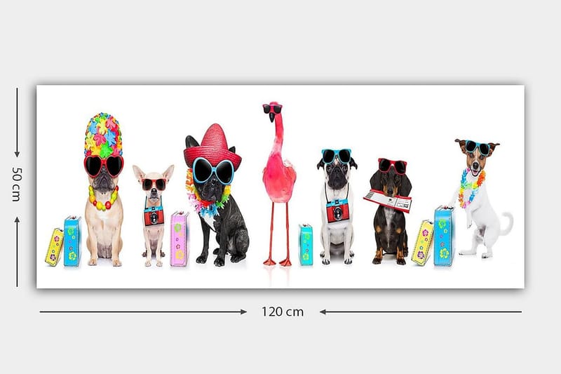 Canvastaulu YTY Animals Monivärinen - 120x50 cm - Sisustustuotteet - Taulu & taide - Canvas-taulu