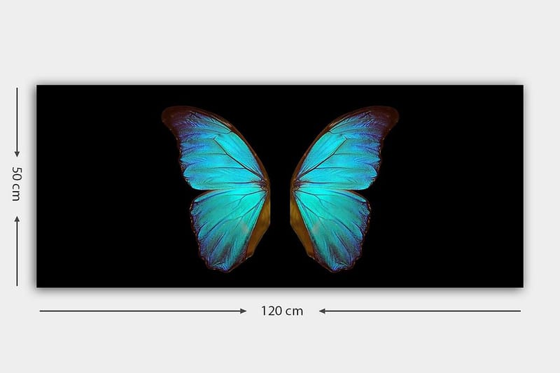 Canvastaulu YTY Animals Monivärinen - 120x50 cm - Sisustustuotteet - Taulu & taide - Canvas-taulu