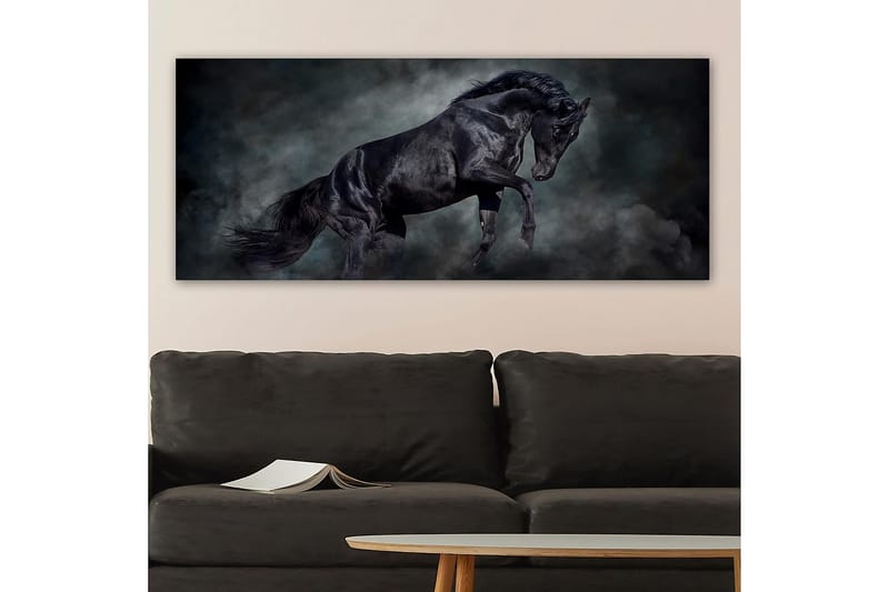 Canvastaulu YTY Animals Monivärinen - 120x50 cm - Sisustustuotteet - Taulu & taide - Canvas-taulu
