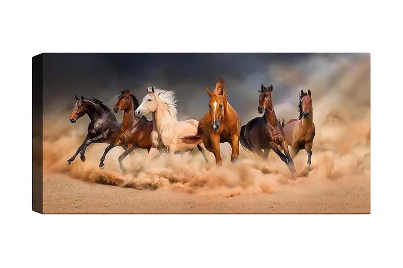 Canvastaulu YTY Animals Monivärinen, 120x50 cm