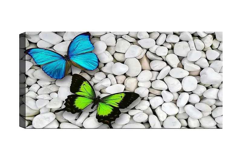 Canvastaulu YTY Animals Monivärinen, 120x50 cm