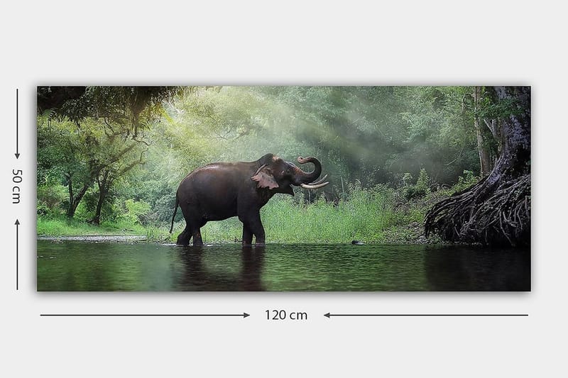 Canvastaulu YTY Animals Monivärinen - 120x50 cm - Sisustustuotteet - Taulu & taide - Canvas-taulu