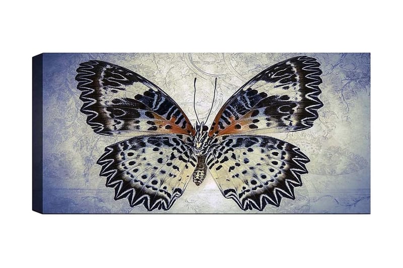 Canvastaulu YTY Animals Monivärinen, 120x50 cm