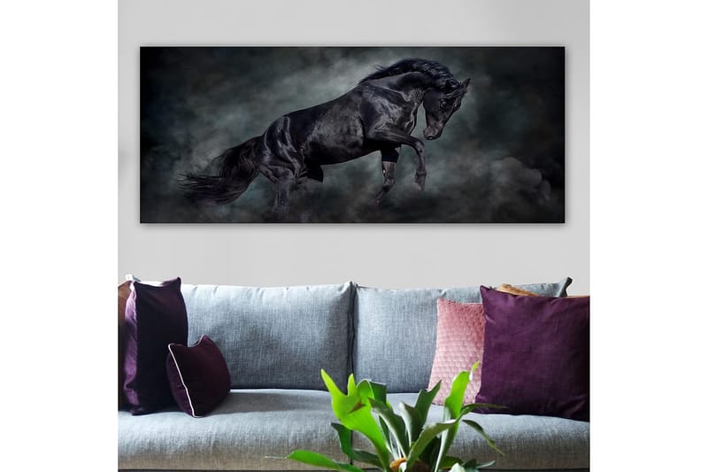 Canvastaulu YTY Animals Monivärinen - 120x50 cm - Sisustustuotteet - Taulu & taide - Canvas-taulu