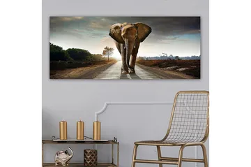 Canvastaulu YTY Animals Monivärinen - 120x50 cm - Sisustustuotteet - Taulu & taide - Canvas-taulu