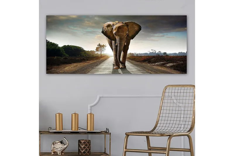 Canvastaulu YTY Animals Monivärinen - 120x50 cm - Sisustustuotteet - Taulu & taide - Canvas-taulu