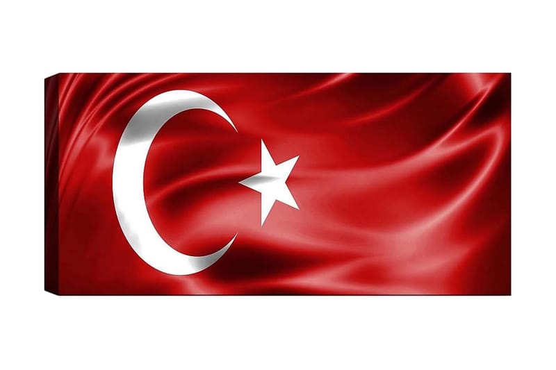 Canvastaulu YTY Flag Monivärinen, 120x50 cm