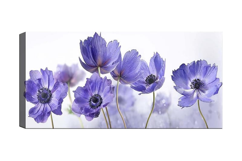 Canvastaulu YTY Floral & Botanical Monivärinen, 120x50 cm