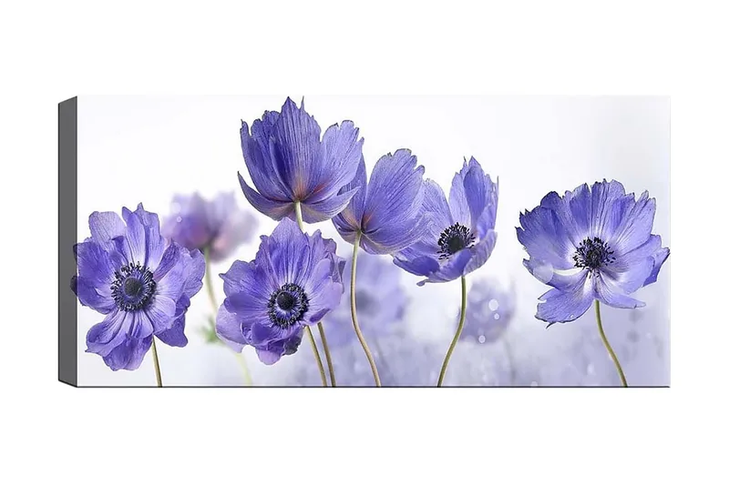 Canvastaulu YTY Floral & Botanical Monivärinen, 120x50 cm