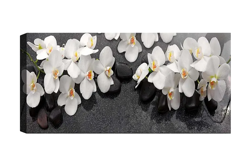 Canvastaulu YTY Floral & Botanical Monivärinen, 120x50 cm