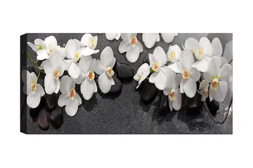 Canvastaulu YTY Floral & Botanical Monivärinen - 120x50 cm - Sisustustuotteet - Taulu & taide - Canvas-taulu