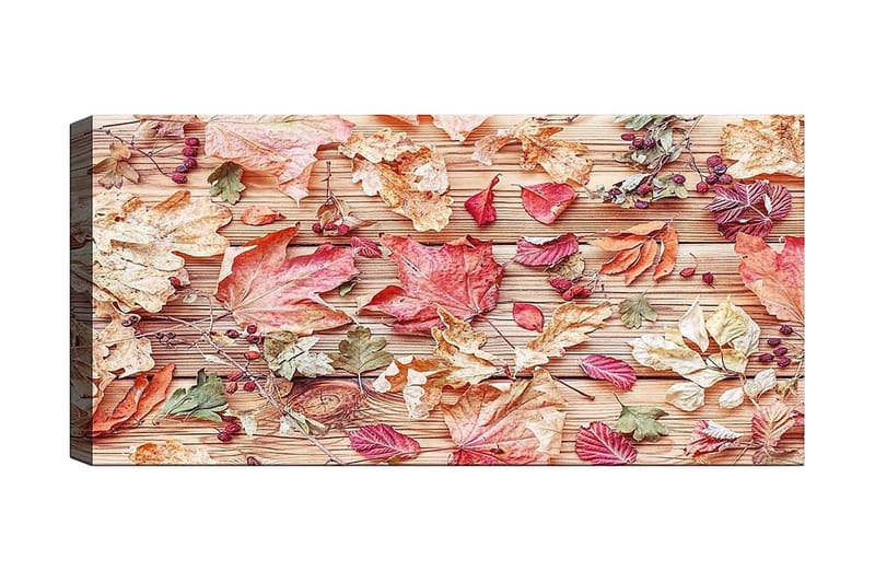 Canvastaulu YTY Floral & Botanical Monivärinen, 120x50 cm