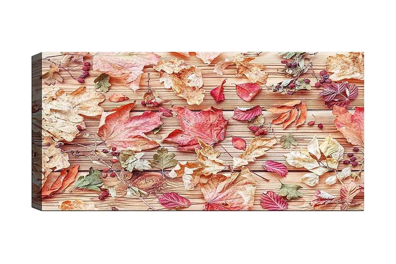 Canvastaulu YTY Floral & Botanical Monivärinen, 120x50 cm
