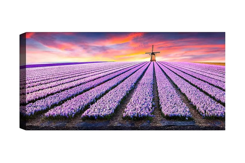 Canvastaulu YTY Floral & Botanical Monivärinen, 120x50 cm