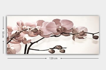 Canvastaulu YTY Floral & Botanical Monivärinen - 120x50 cm - Sisustustuotteet - Taulu & taide - Canvas-taulu