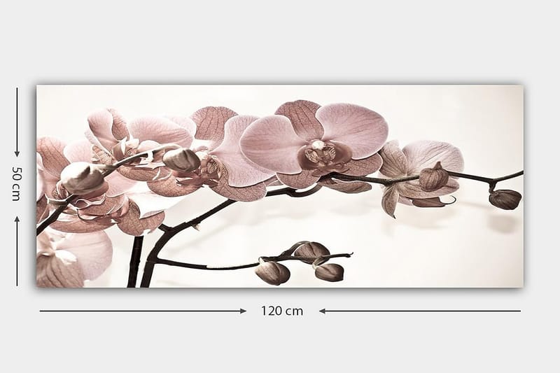 Canvastaulu YTY Floral & Botanical Monivärinen - 120x50 cm - Sisustustuotteet - Taulu & taide - Canvas-taulu
