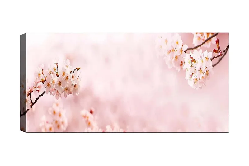Canvastaulu YTY Floral & Botanical Monivärinen, 120x50 cm