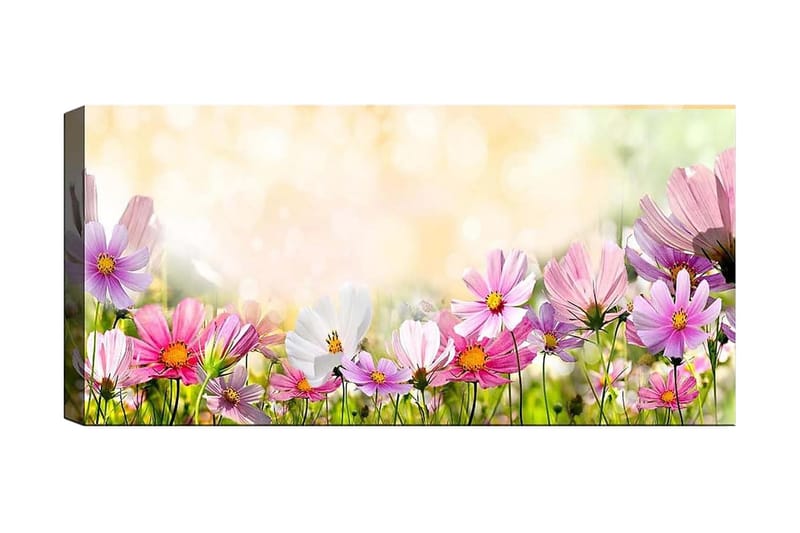 Canvastaulu YTY Floral & Botanical Monivärinen - 120x50 cm - Sisustustuotteet - Taulu & taide - Canvas-taulu