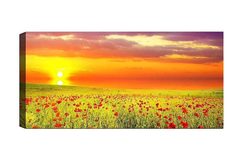 Canvastaulu YTY Floral & Botanical Monivärinen - 120x50 cm - Sisustustuotteet - Taulu & taide - Canvas-taulu