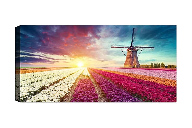 Canvastaulu YTY Floral & Botanical Monivärinen - 120x50 cm - Sisustustuotteet - Taulu & taide - Canvas-taulu