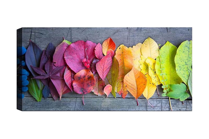Canvastaulu YTY Floral & Botanical Monivärinen - 120x50 cm - Sisustustuotteet - Taulu & taide - Canvas-taulu