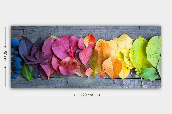 Canvastaulu YTY Floral & Botanical Monivärinen - 120x50 cm - Canvas-taulu - Seinäkoristeet