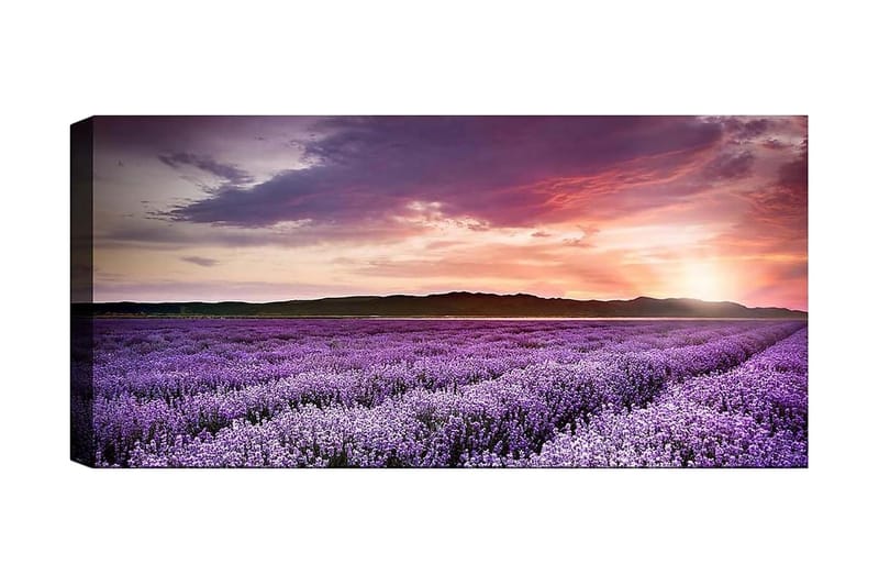 Canvastaulu YTY Floral & Botanical Monivärinen - 120x50 cm - Sisustustuotteet - Taulu & taide - Canvas-taulu