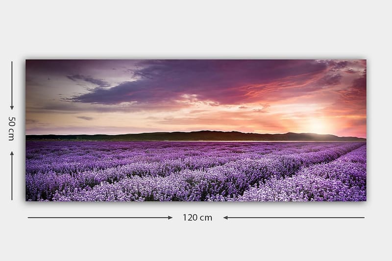 Canvastaulu YTY Floral & Botanical Monivärinen - 120x50 cm - Sisustustuotteet - Taulu & taide - Canvas-taulu