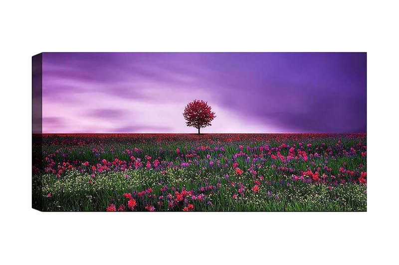 Canvastaulu YTY Floral & Botanical Monivärinen - 120x50 cm - Sisustustuotteet - Taulu & taide - Canvas-taulu