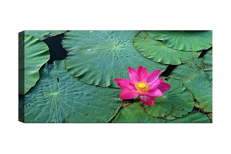 Canvastaulu YTY Floral & Botanical Monivärinen - 120x50 cm - Sisustustuotteet - Taulu & taide - Canvas-taulu