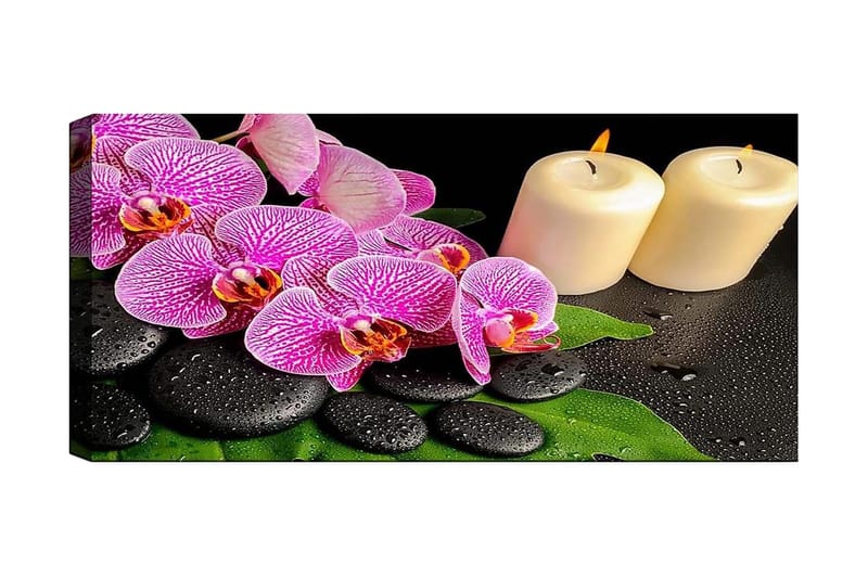 Canvastaulu YTY Floral & Botanical Monivärinen - 120x50 cm - Sisustustuotteet - Taulu & taide - Canvas-taulu