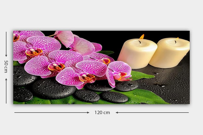 Canvastaulu YTY Floral & Botanical Monivärinen - 120x50 cm - Canvas-taulu - Seinäkoristeet