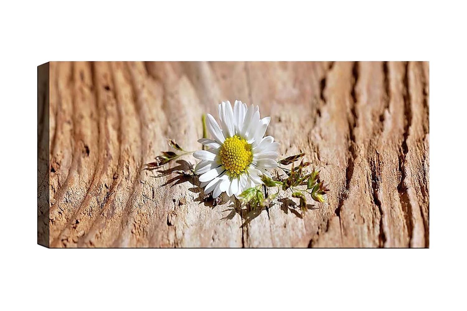 Canvastaulu YTY Floral & Botanical Monivärinen - 120x50 cm - Sisustustuotteet - Taulu & taide - Canvas-taulu