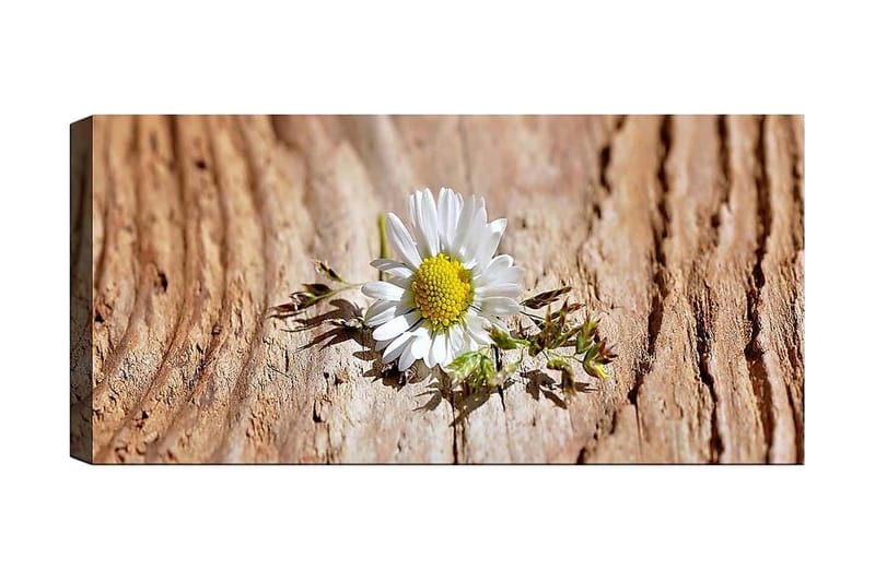 Canvastaulu YTY Floral & Botanical Monivärinen - 120x50 cm - Sisustustuotteet - Taulu & taide - Canvas-taulu