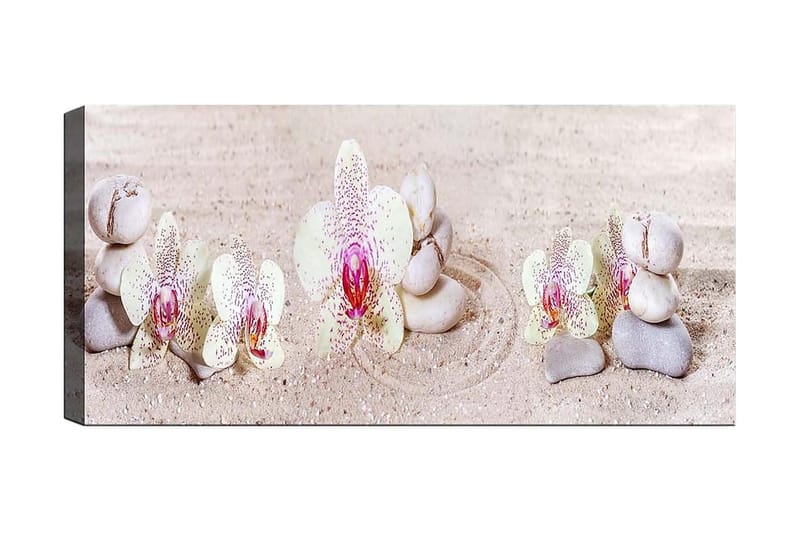 Canvastaulu YTY Floral & Botanical Monivärinen - 120x50 cm - Sisustustuotteet - Taulu & taide - Canvas-taulu