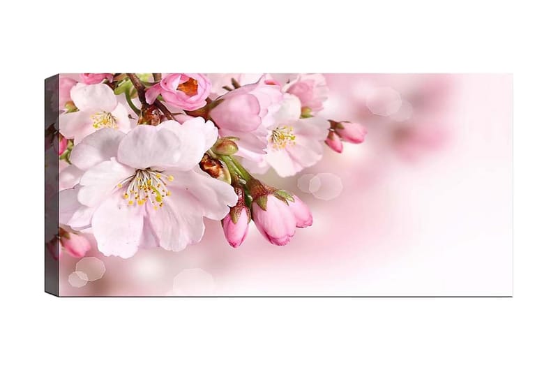 Canvastaulu YTY Floral & Botanical Monivärinen - 120x50 cm - Sisustustuotteet - Taulu & taide - Canvas-taulu