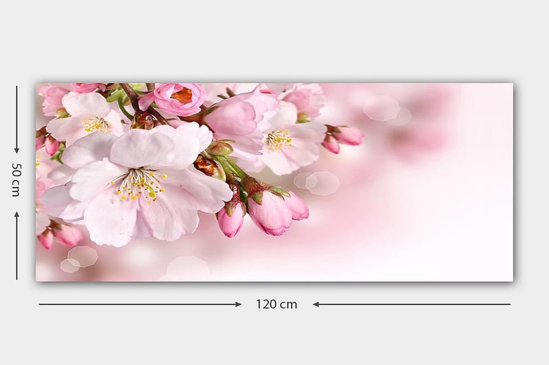 Canvastaulu YTY Floral & Botanical Monivärinen - 120x50 cm - Sisustustuotteet - Taulu & taide - Canvas-taulu
