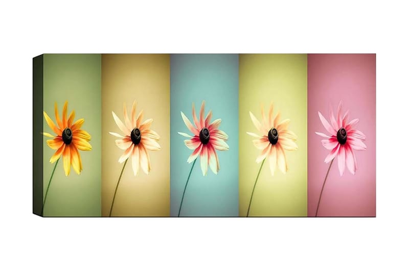 Canvastaulu YTY Floral & Botanical Monivärinen - 120x50 cm - Sisustustuotteet - Taulu & taide - Canvas-taulu