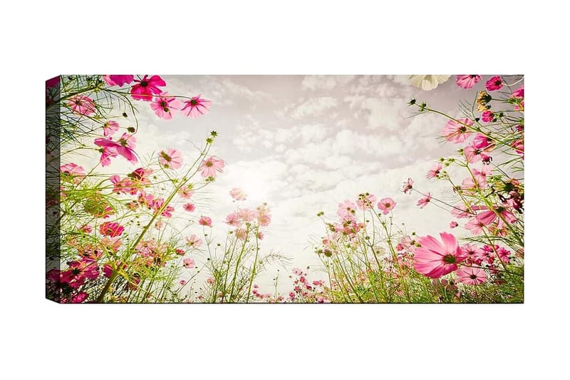 Canvastaulu YTY Floral & Botanical Monivärinen - 120x50 cm - Sisustustuotteet - Taulu & taide - Canvas-taulu