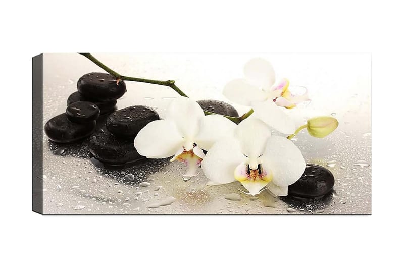 Canvastaulu YTY Floral & Botanical Monivärinen - 120x50 cm - Sisustustuotteet - Taulu & taide - Canvas-taulu