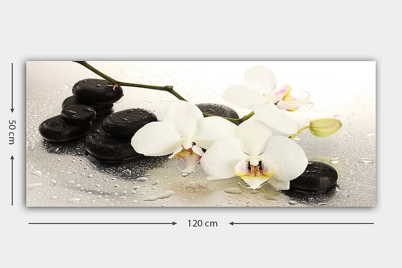 Canvastaulu YTY Floral & Botanical Monivärinen - 120x50 cm - Sisustustuotteet - Taulu & taide - Canvas-taulu