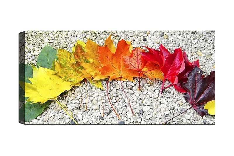 Canvastaulu YTY Floral & Botanical Monivärinen - 120x50 cm - Sisustustuotteet - Taulu & taide - Canvas-taulu