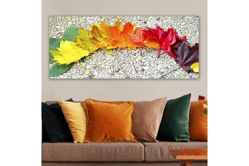 Canvastaulu YTY Floral & Botanical Monivärinen - 120x50 cm - Sisustustuotteet - Taulu & taide - Canvas-taulu